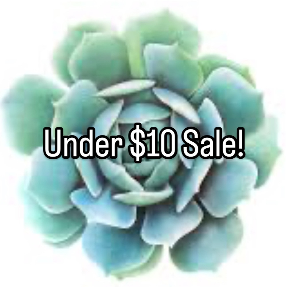 Everything must go!
